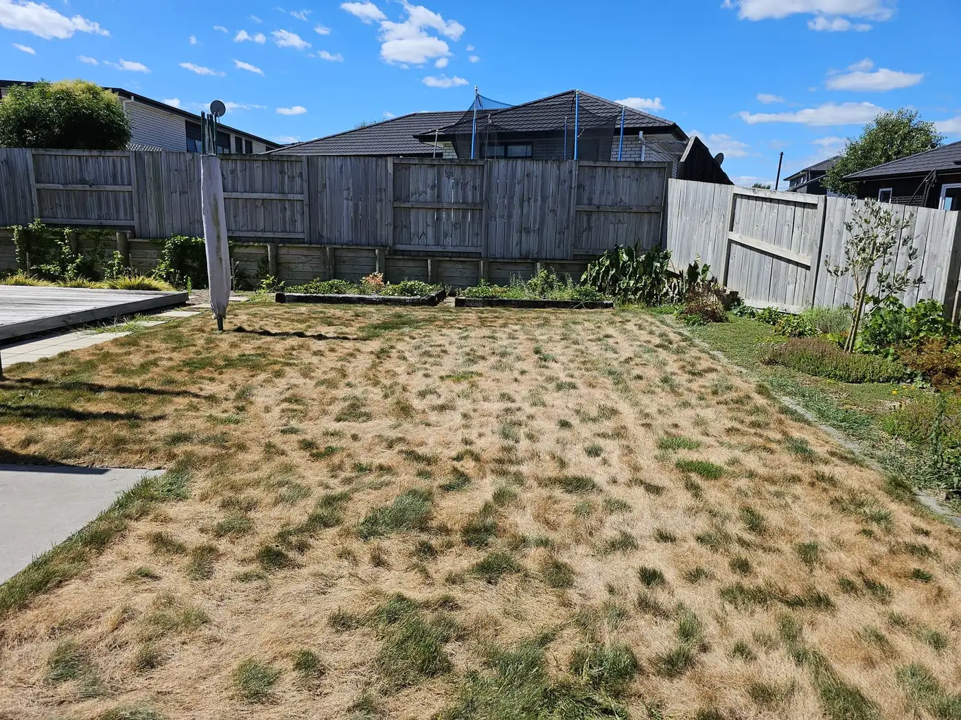 Watering Your Lawn in Hamilton This Summer: Sprinkler Rules and When to Water