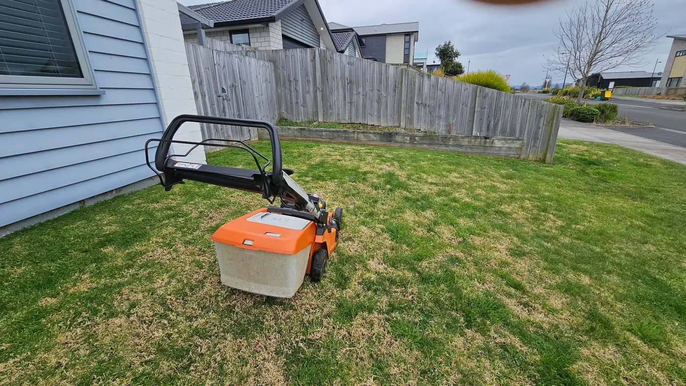 Kikuyu or Ryegrass? What's Actually Growing in Your Hamilton Lawn