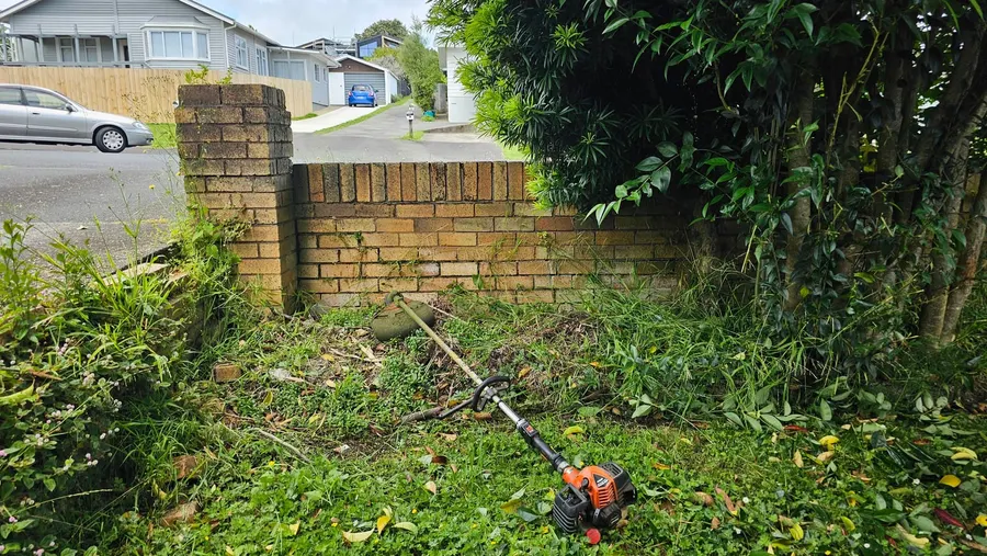 Overgrown corner by a brick wall being cut back, line trimmer in the weeds